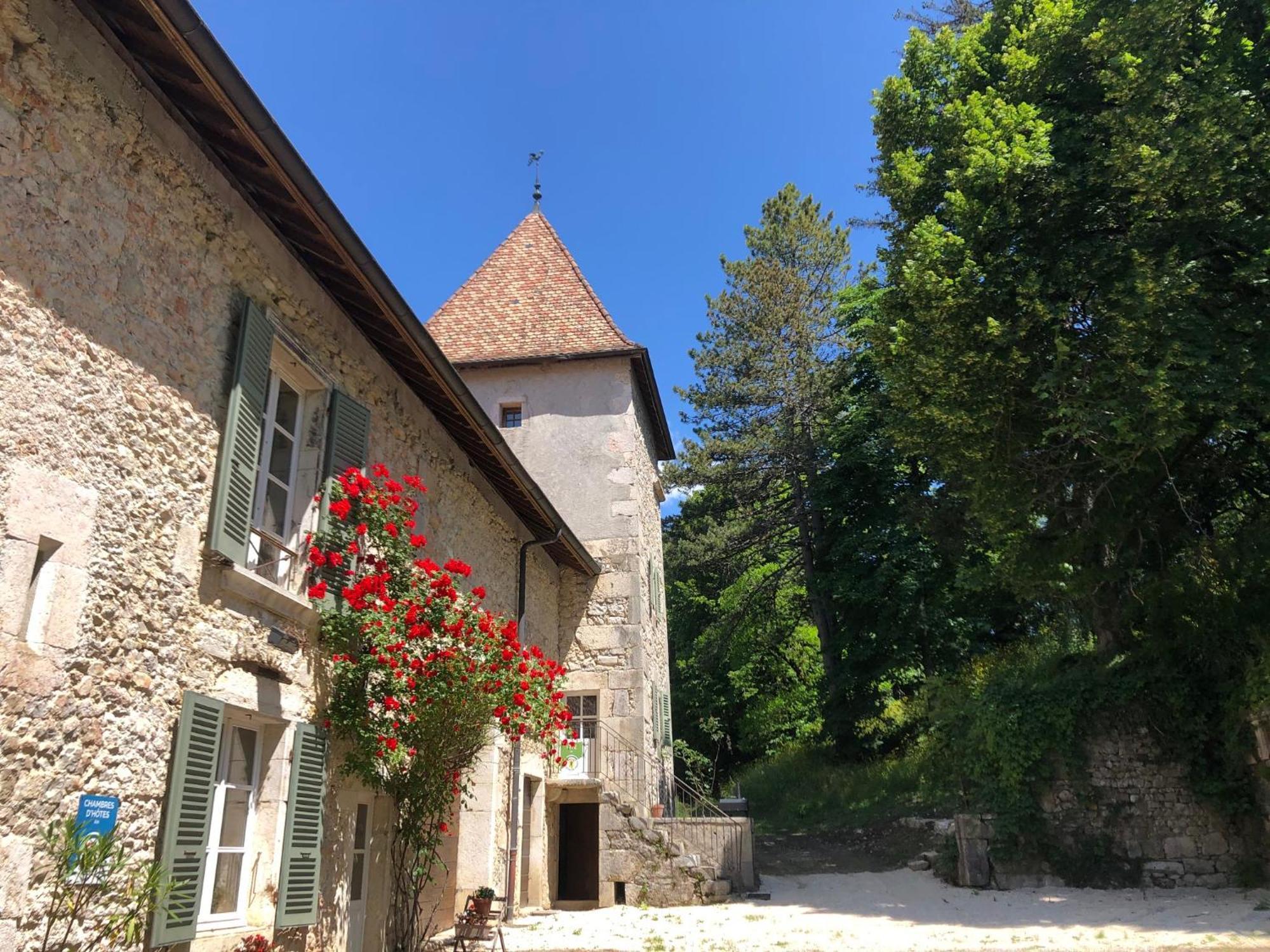 Domaine Du Tres-Haut - Chateau De Montanges Zewnętrze zdjęcie